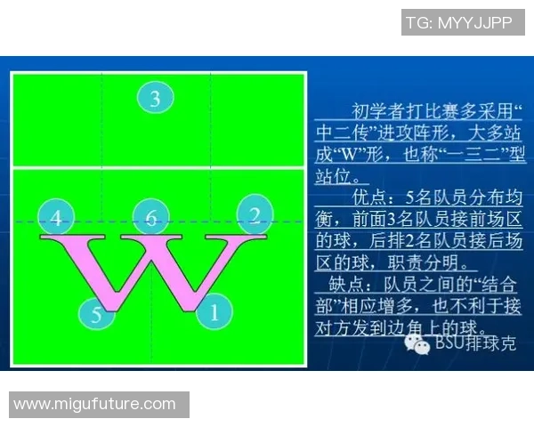 武汉排球队进攻战术解析与实战应用深度分析
